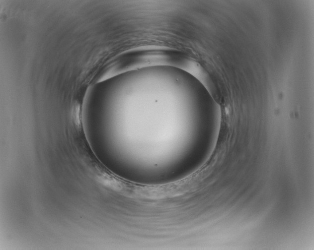 X0000077400041200610201456
