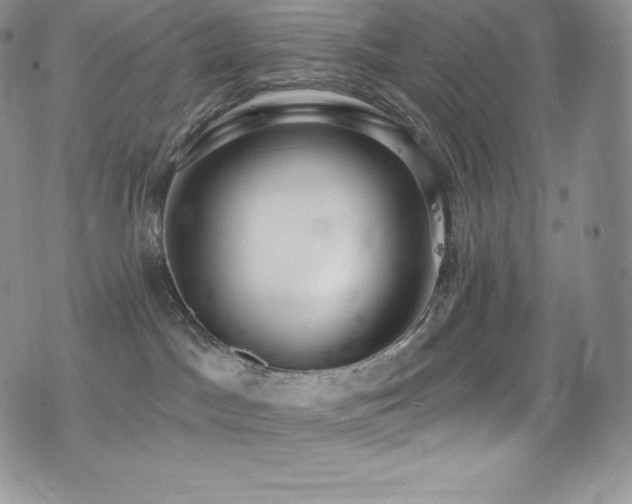 X0000077400045200610201456