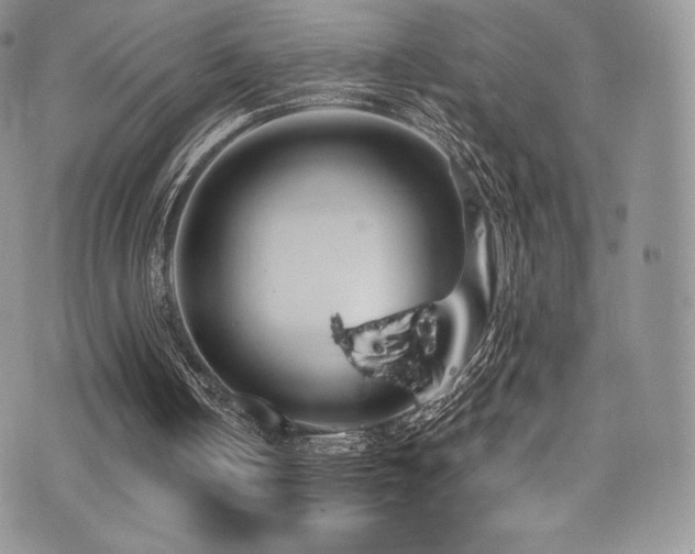 X0000077400050200610201455