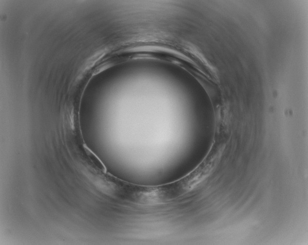 X0000077400068200610201456
