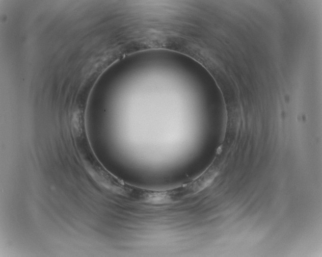 X0000077400088200610201456