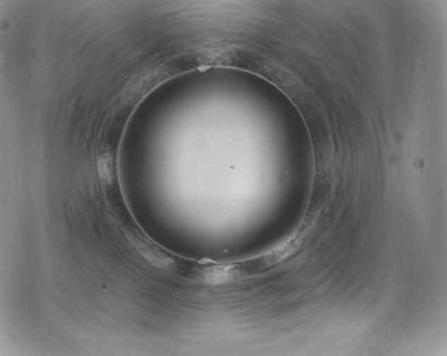 X0000077400090200610201456