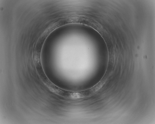 X0000077400091200610201456