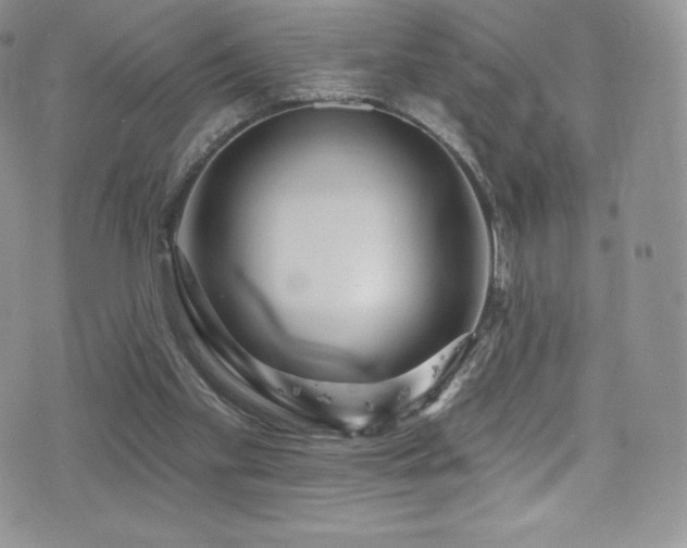 X0000077400109200610201455