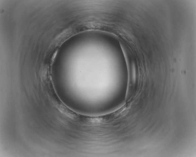 X0000077400233200610201453
