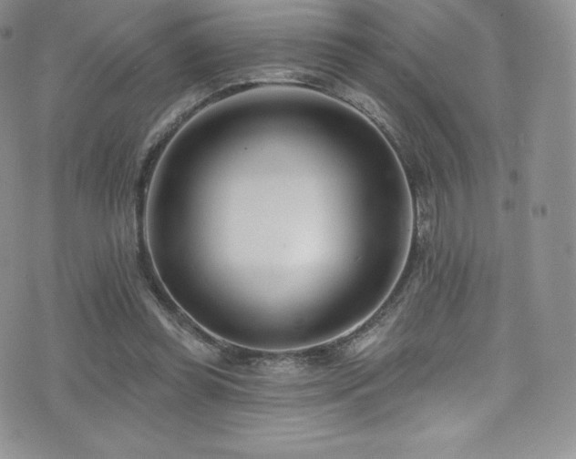 X0000077400349200610201451