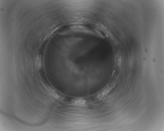X0000077400471200610201450