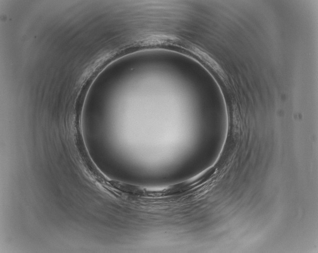 X0000077400485200610201449