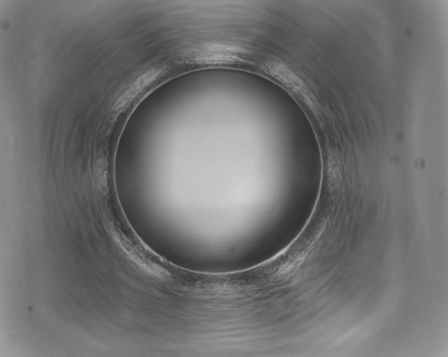 X0000077400533200610201448