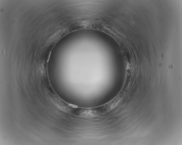 X0000077400611200610201447