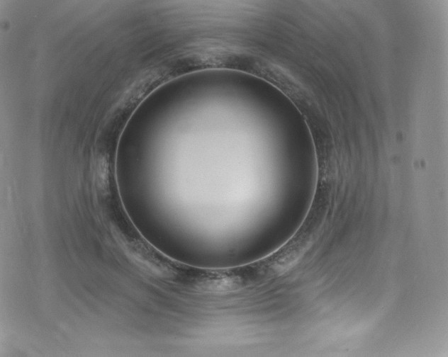 X0000077400646200610201446