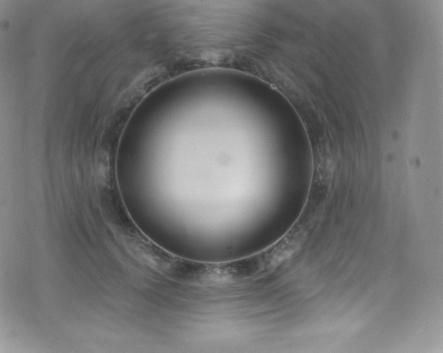 X0000077400656200610201446