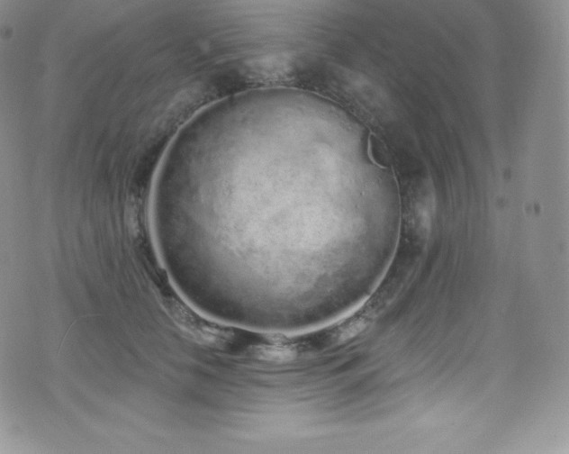 X0000077400658200610201447