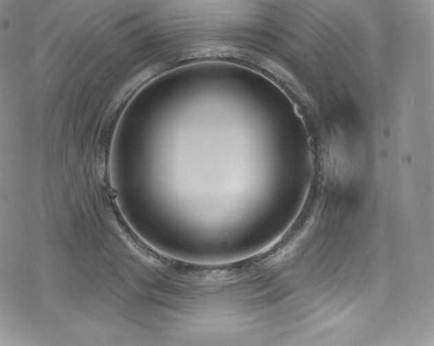 X0000077400841200610201443