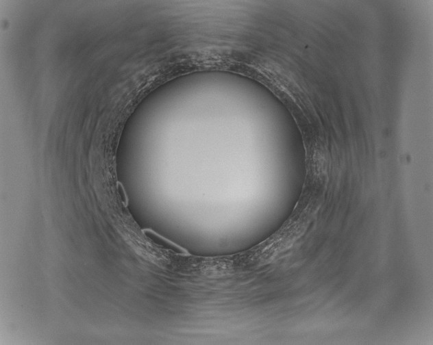 X0000077400865200610201443