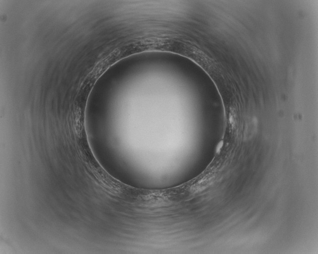 X0000077400867200610201443