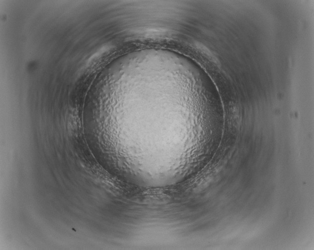 X0000077400918200610201441