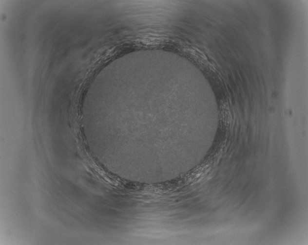 X0000077401009200610201440
