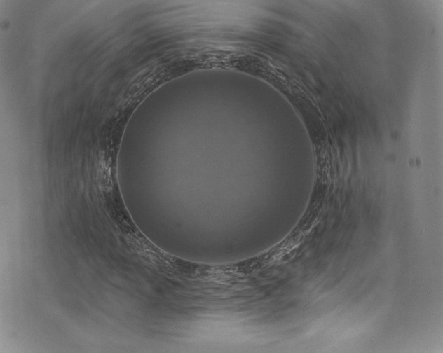 X0000077401013200610201440
