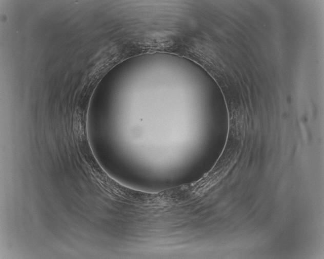 X0000077401058200610201440