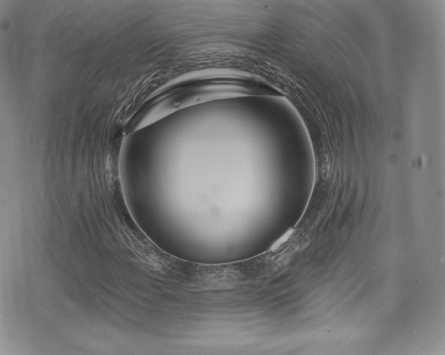 X0000077401108200610201438