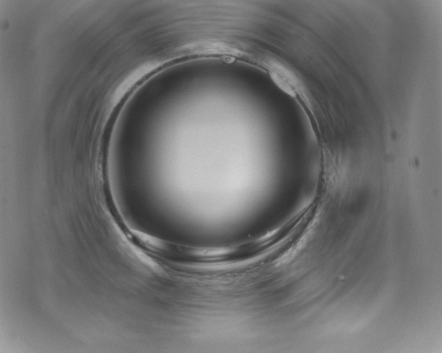 X0000077401141200610201439