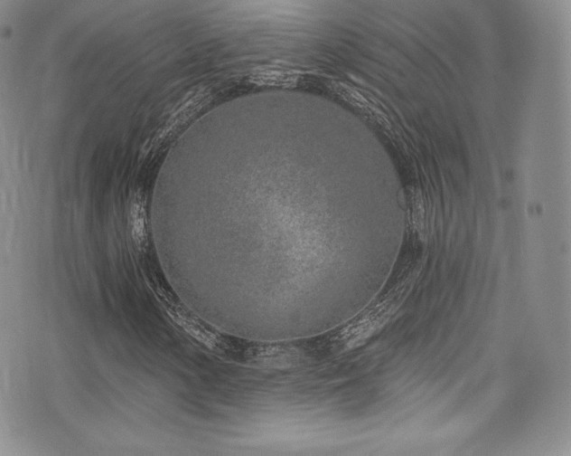 X0000077401154200610201438