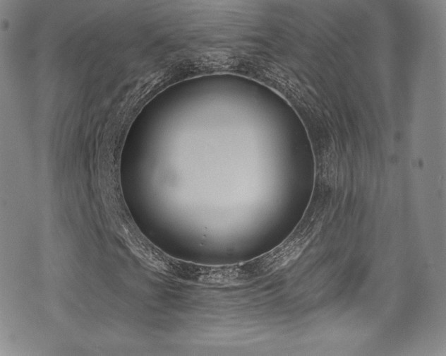 X0000077401201200610201437