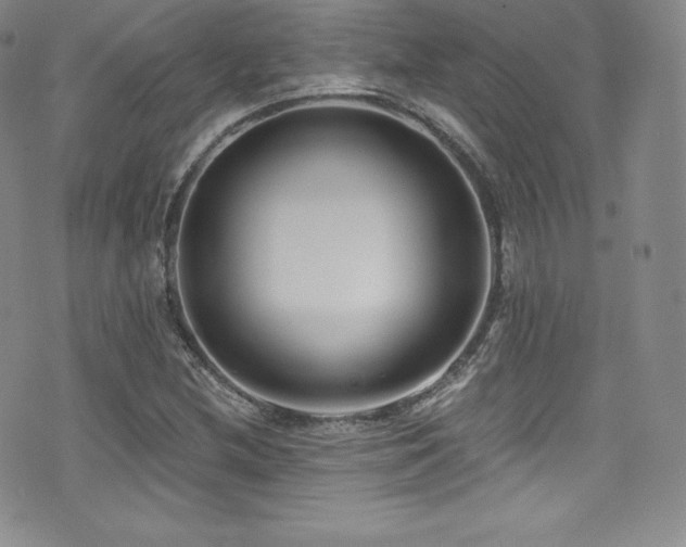 X0000077401212200610201437