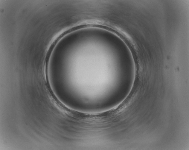 X0000077401272200610201436