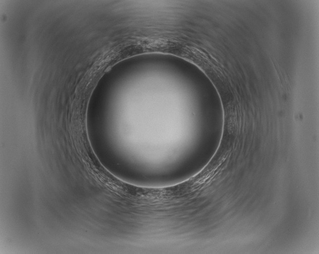 X0000077401345200610201435