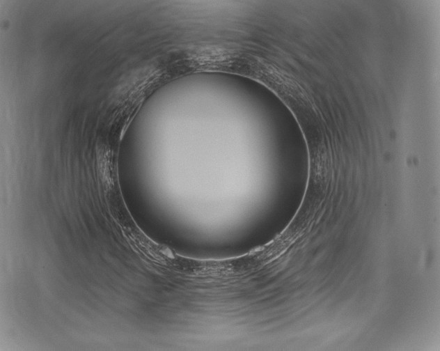 X0000077401346200610201435
