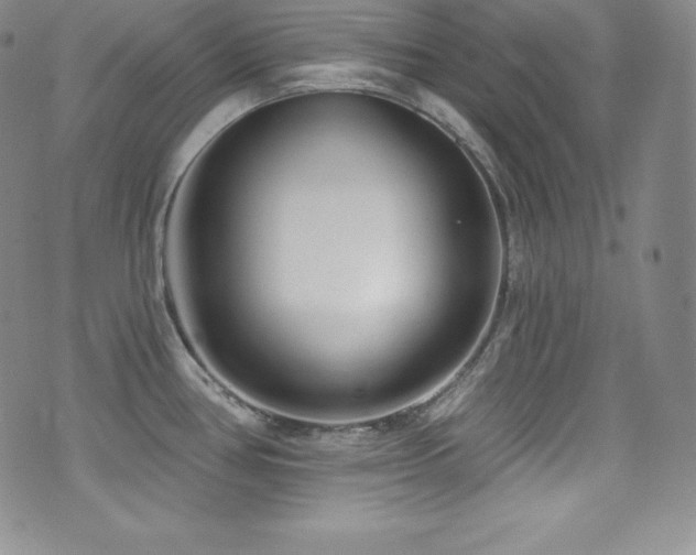 X0000077401386200610201434