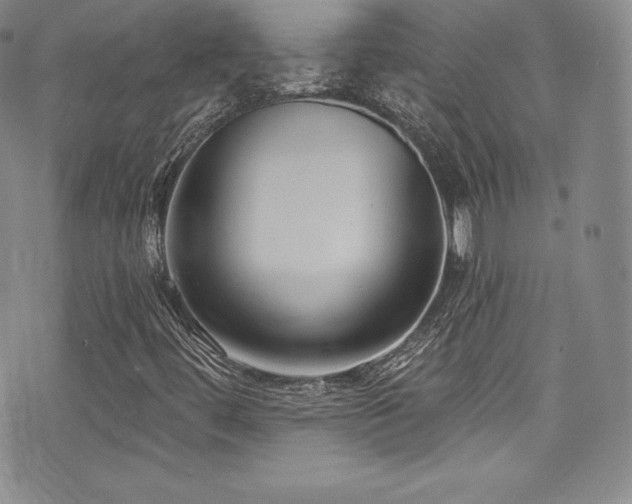 X0000077401444200610201433