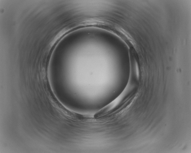 X0000077401465200610201433