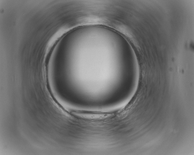 X0000077401472200610201433