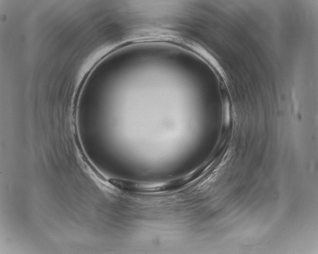 X0000077401485200610201433