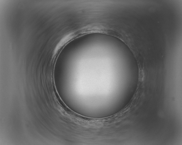 X0000077400004200610272051