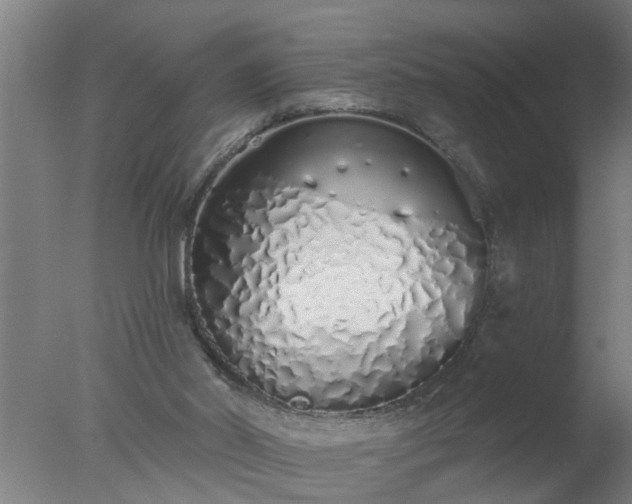 X0000077400014200610272051