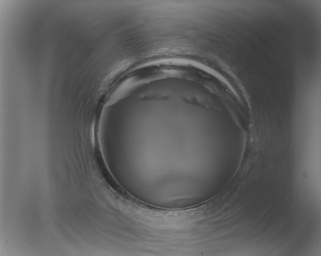 X0000077400019200610272050