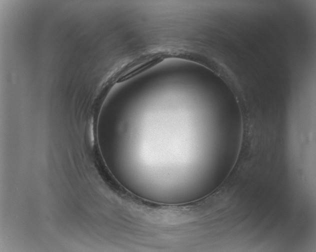 X0000077400020200610272050