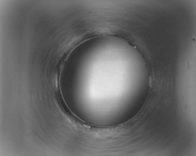 X0000077400021200610272050