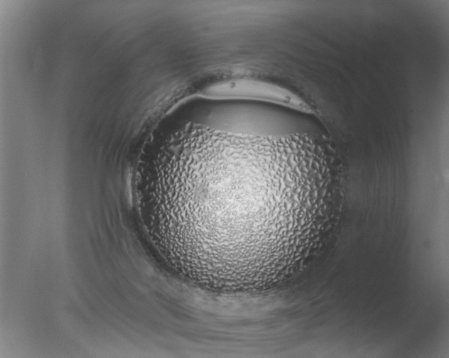 X0000077400022200610272050