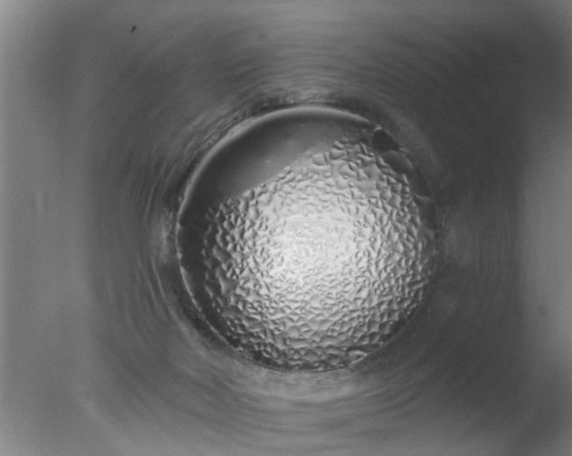 X0000077400026200610272050