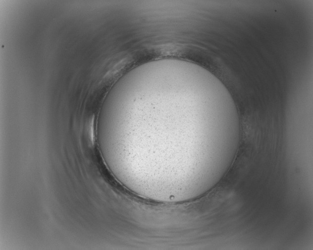 X0000077400028200610272050