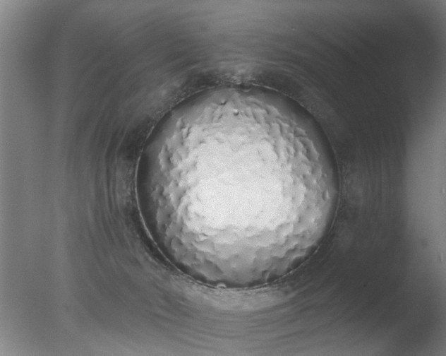 X0000077400030200610272050