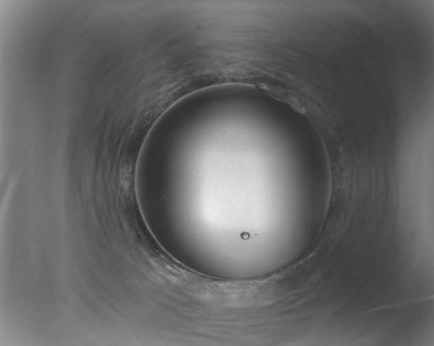 X0000077400033200610272050