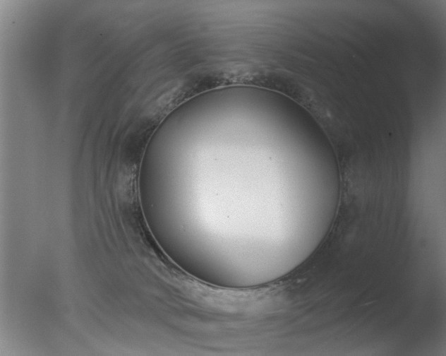 X0000077400034200610272050