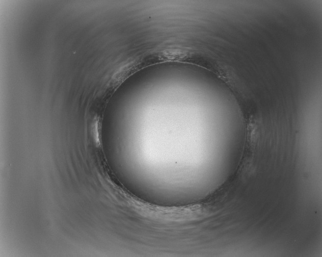 X0000077400042200610272050