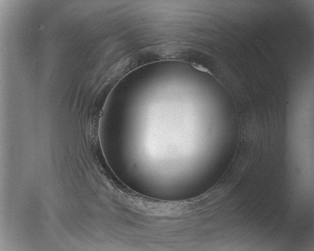 X0000077400044200610272050